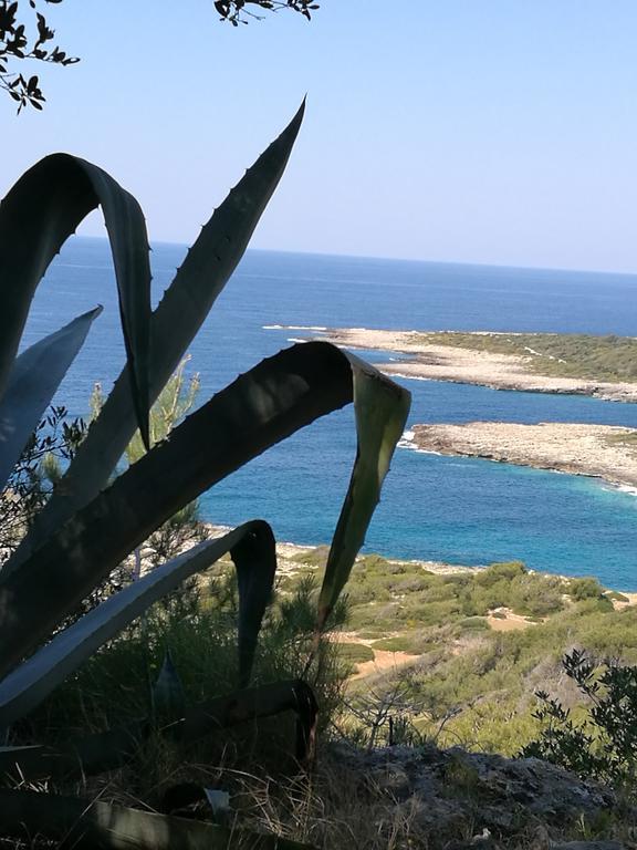 Portoselvaggio Villa Martina Santa Caterina  المظهر الخارجي الصورة