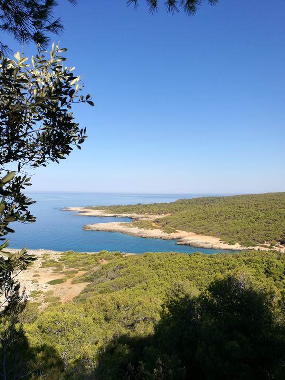 Portoselvaggio Villa Martina Santa Caterina  المظهر الخارجي الصورة